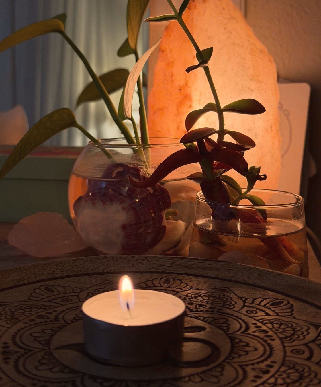 Vela encendida junto a una lámpara de sal y plantas